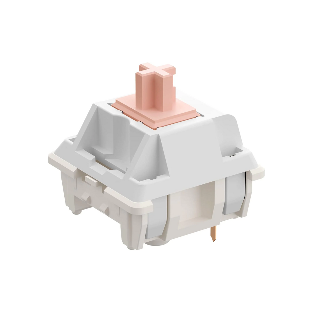 Keyboard Switches — Computer Orbit