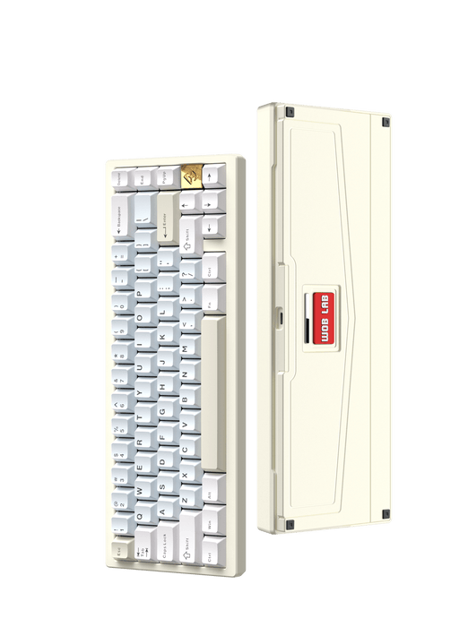 WOBKEY Zen 65 RGB 65% ANSI Mechanical Keyboard