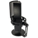 Endgame Gear XSTRM RGB USB Mic with Shock Mount and Pop Filter - Black